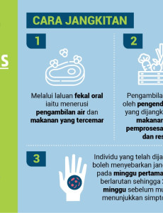 Hepatitis A : Cara Jangkitan